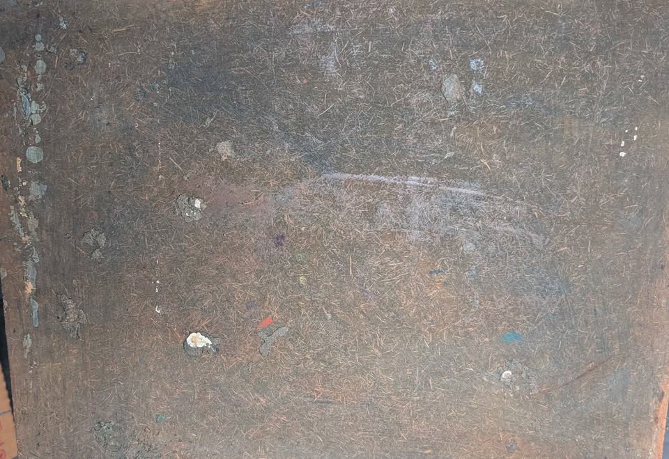 602877449_1437245211441536_6362541674117395632_n