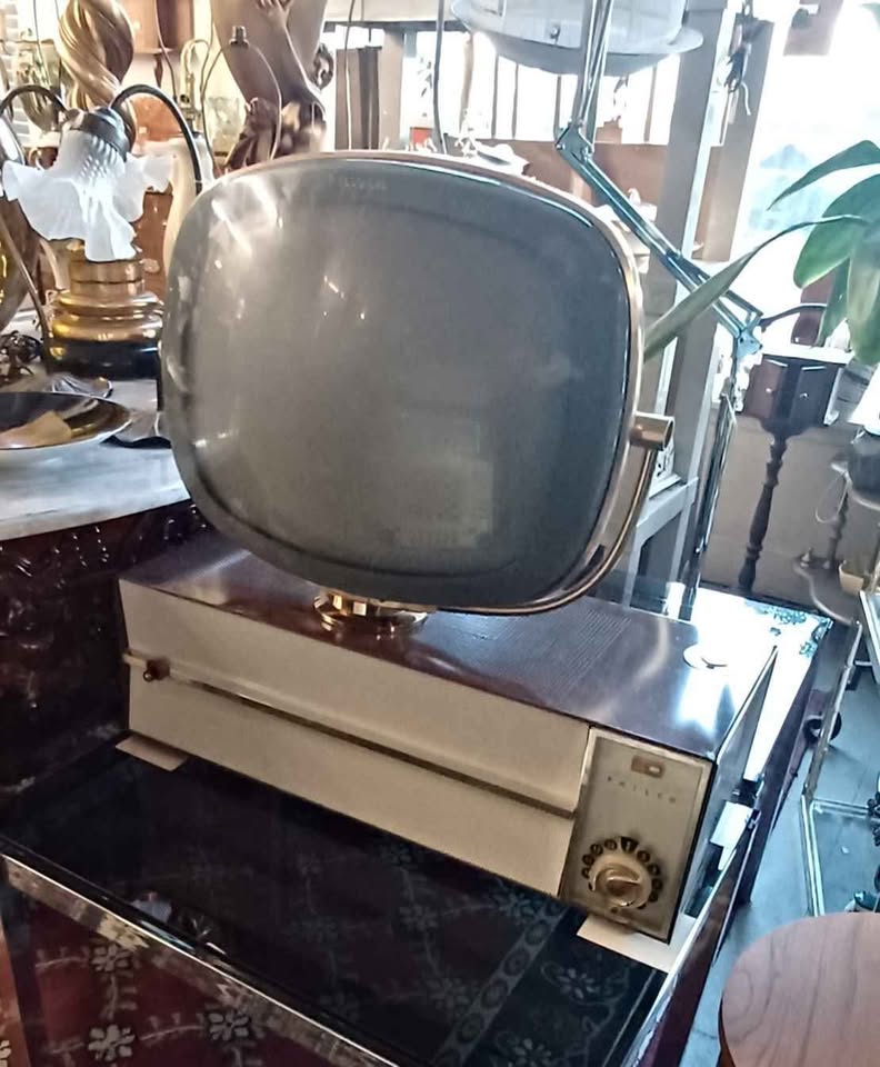 605465768_1356330545695404_7809320038786342815_n