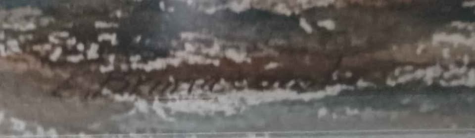 612605825_2229165990943564_1232994369592258985_n