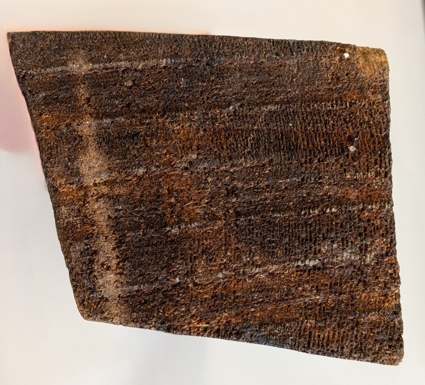 PXL_20260211_200826033